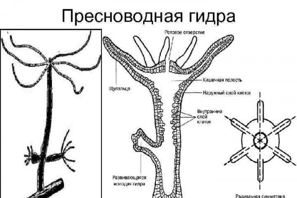 Магазины с наркотиками