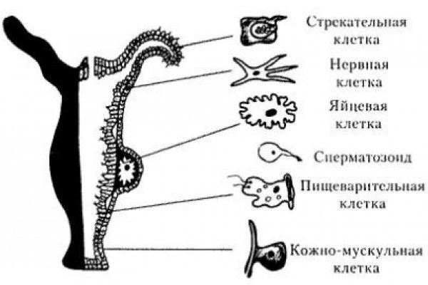 Кракен кз